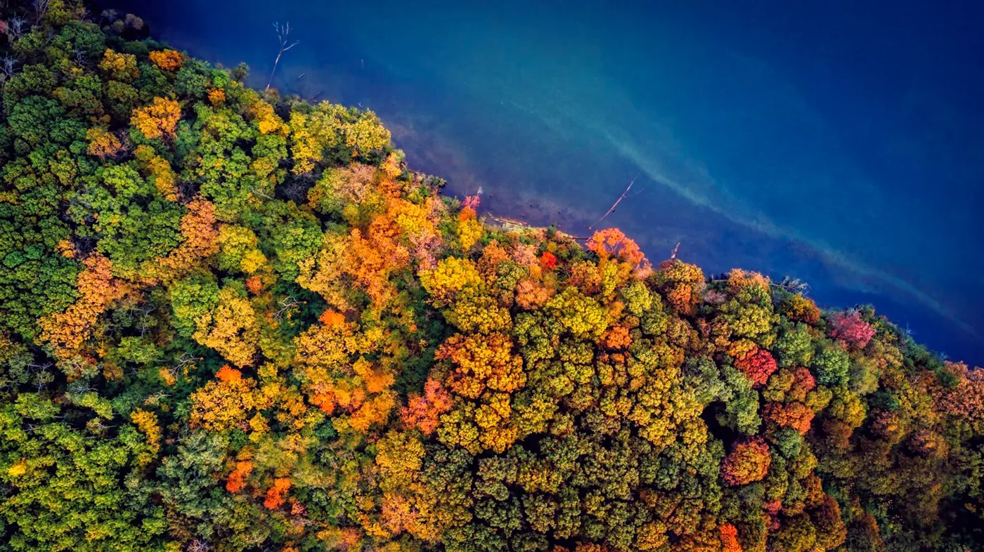 Turning, the season from above, by Bryan Korth